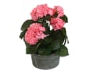colourliving Zink Pflanztopf rund Old Green 24cm Bild 3