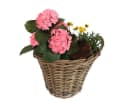 colourliving Pflanzkorb Weide mit Henkel und Folieneinsatz Bild 3
