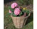 colourliving Pflanzkorb Weide mit Henkel und Folieneinsatz Bild 5