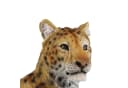 colourliving Panther Figur lebensecht Polyresin Deko Bild 4
