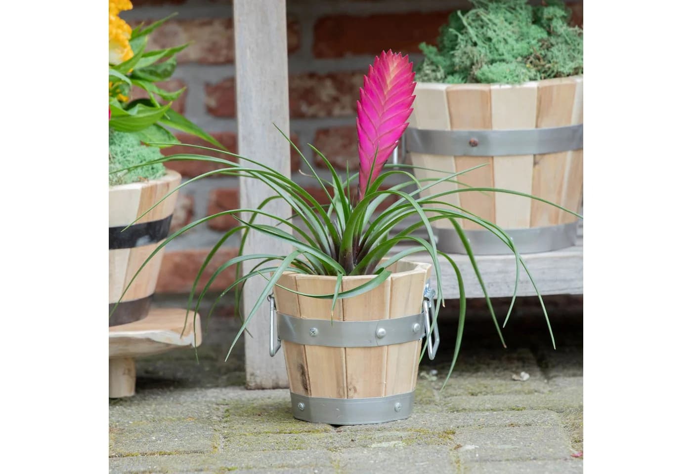 colourliving Pflanzkübel Akazienholz Pflanztopf rund mit Griffen - Bild 3