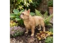 colourliving Französischen Bulldogge Figur XL Polyresin Handbemalt Bild 1