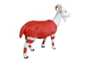 colourliving Gartenfigur Ziegenbock »Bruce« Deko-Ziege Polyresin Bild 5