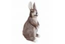 colourliving Osterhase Realistische Hasenfigur für Garten & Wohnbereich – Osterdeko Bild 2