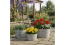 colourliving Blumentopf 3er Set Zinkwannen oval Silber Bild 3