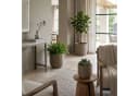 colourliving Pflanzkübel Gala 3er-Set Naturgrau Polyrattan Bild 4