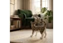 colourliving Katzenfigur Murli grau-getigert Polyresin Garten & Wohnen Bild 1