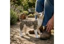 colourliving Katzenfigur Murli grau-getigert Polyresin Garten & Wohnen Bild 3