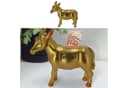 CEPEWA Spardose Goldesel Polyresin Bild 2