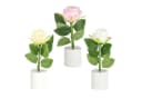 CEPEWA LED Dekolicht Rosen 3er Set Creme/Rosa/Weiß Bild 2