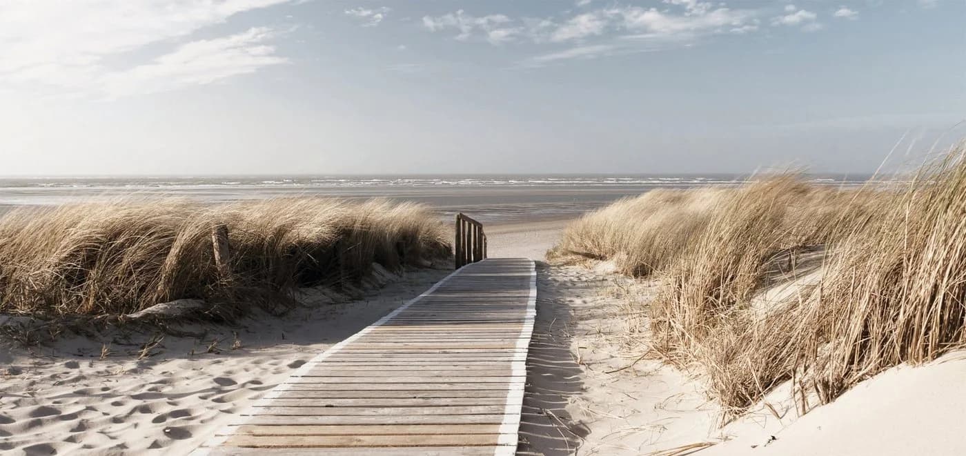 Bönninghoff Leinwandbild Düne, Keilrahmen Beige - Bild 2