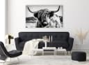 Bönninghoff Leinwandbild Hochlandrind Grau 150x90cm Bild 1