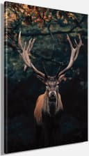 Bönninghoff Leinwandbild Hirsch Leinwand Bild 3