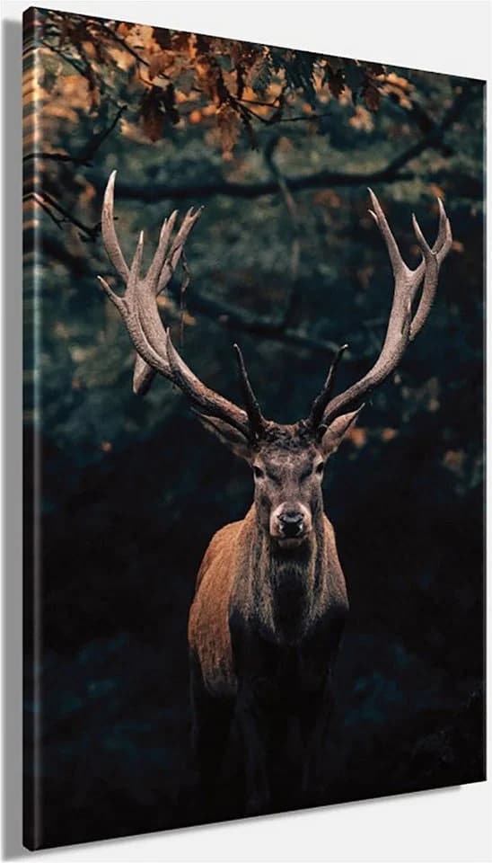 Bönninghoff Leinwandbild Hirsch Leinwand - Bild 3