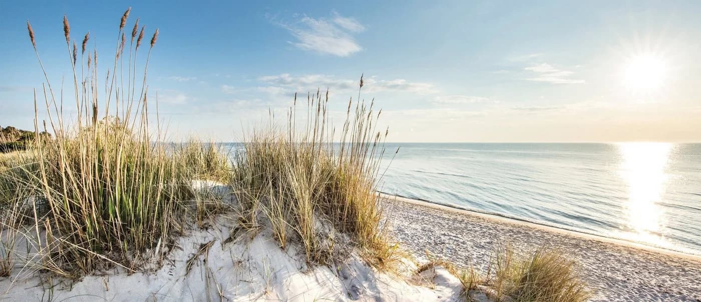 Leinwandbild BÖNNINGHOFF Düne Blau Weiß Beige Grün - Bild 2