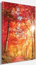 Leinwandbild BÖNNINGHOFF Rot Orange Gelb Naturmotiv Hochformat Bild 3