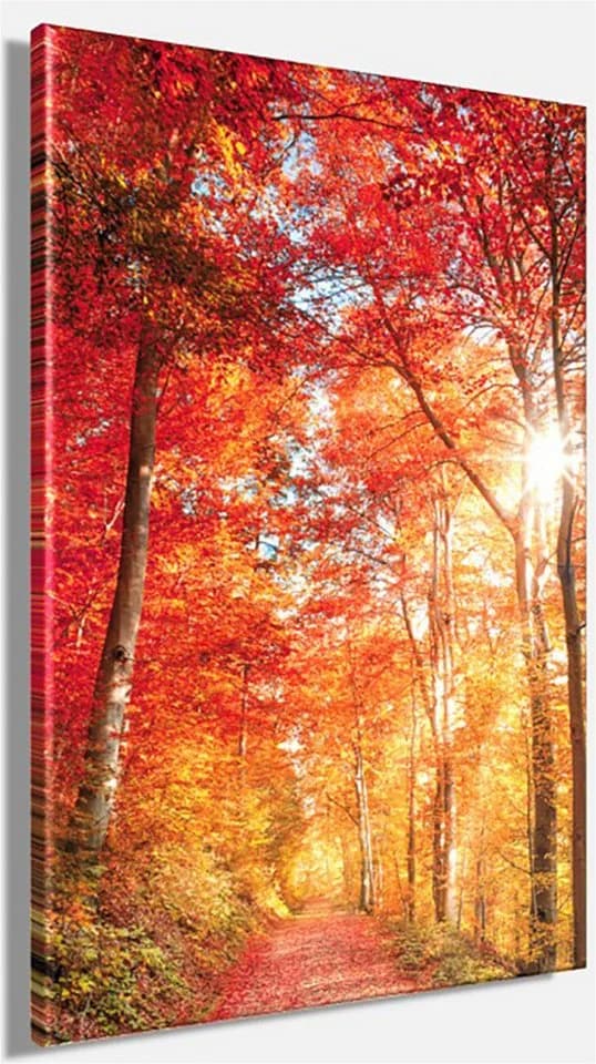 Leinwandbild BÖNNINGHOFF Rot Orange Gelb Naturmotiv Hochformat - Bild 3