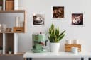 Bönninghoff Bild mit Rahmen, Getränke, Kaffee, Kaffee Bilder, Lebensmittel (3 St) Bunt Bild 2