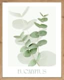 Bönninghoff Wandbild Eukalyptus 40x50 cm Grün Skandi Bild 2