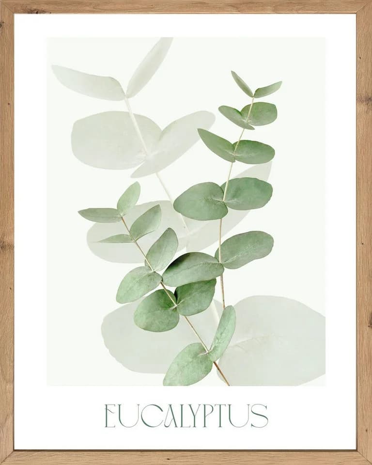Bönninghoff Wandbild Eukalyptus 40x50 cm Grün Skandi - Bild 2