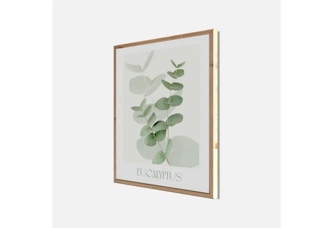 Bönninghoff Wandbild Eukalyptus 40x50 cm Grün Skandi - Bild 3