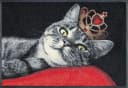 wash+dry by Kleen-Tex Fußmatte Royal Cat, rechteckig, Höhe: 7 mm, Schmutzfangmatte, Motiv Katze, rutschhemmend, waschbar Bild 2