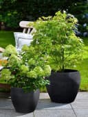 Scheurich LINEO Blumentopf Schwarz Flexibel Innen/Außen Bild 1