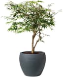 Scheurich LINEO Blumentopf Schwarz Flexibel Innen/Außen Bild 3
