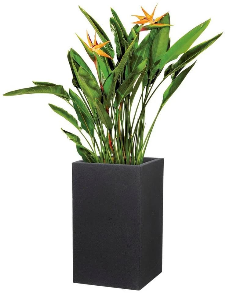 Scheurich Blumentopf C-CUBE HIGH Beton-Optik Schwarz
