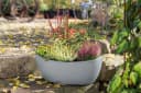 Scheurich Jardiniere 58/253 WA.GLOBE Grau Kunststoff Bild 1