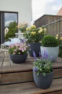 Scheurich BARCEO Blumentopf Schwarz GARDURO Kunststoff Bild 1