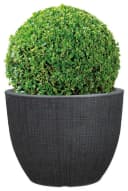Scheurich BARCEO Blumentopf Schwarz GARDURO Kunststoff Bild 3