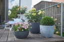 Scheurich BARCEO Blumentopf Schwarz GARDURO Kunststoff Bild 4