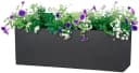 Scheurich Blumentopf 80/140 ALEA BOX Schwarz Kunststoff Beton-Optik Bild 1