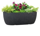 Scheurich Jardiniere 46/274 LINETTO JARDI Pflanzschale Kunststoff Bild 1