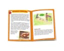 Moses. Verlag Murmelspiel-Set mit 21 Glasmurmeln Bild 4