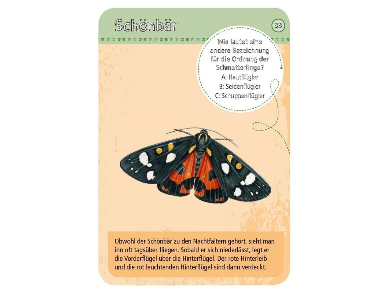 Moses. Verlag Spiel Expedition Natur heimische Schmetterlinge Kartenspiel Bunt