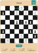 Moses. Verlag Spiel Die große Box der Schachrätsel 50 Rätsel mit Figuren-Chips Bild 3