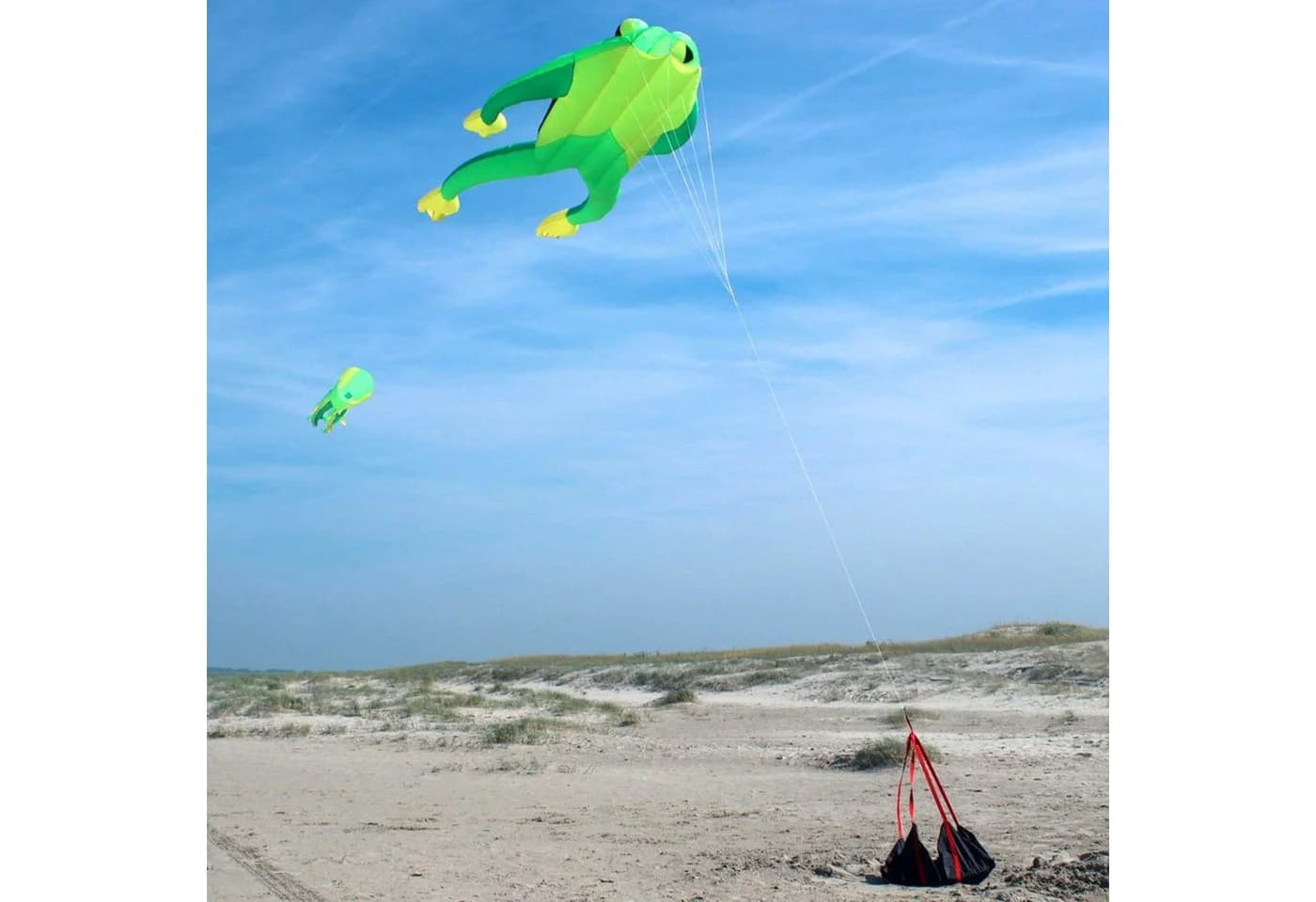 Wolkenstürmer Flug-Drache Fritz the Frog Grün 210cm - Bild 3