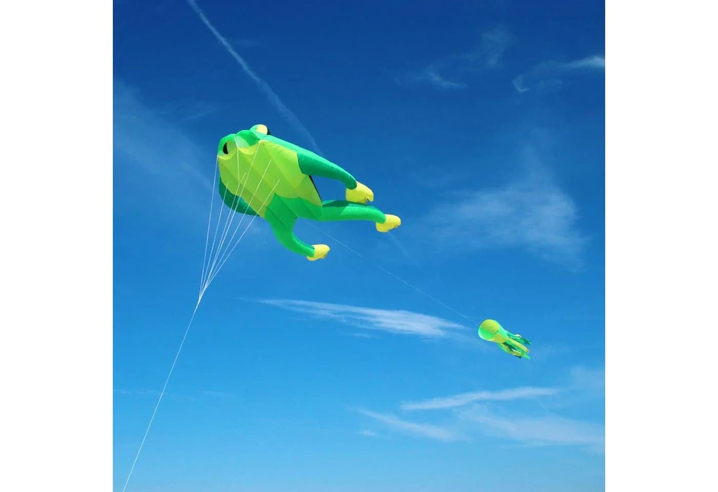 Wolkenstürmer Flug-Drache Fritz the Frog Grün 210cm - Bild 4