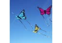 Wolkenstürmer Bella Butterfly Kinderdrachen Pink Ready to Fly Bild 3