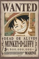 One Piece Wanted Poster 61x91,5 cm Offiziell Lizenziert Bild 2