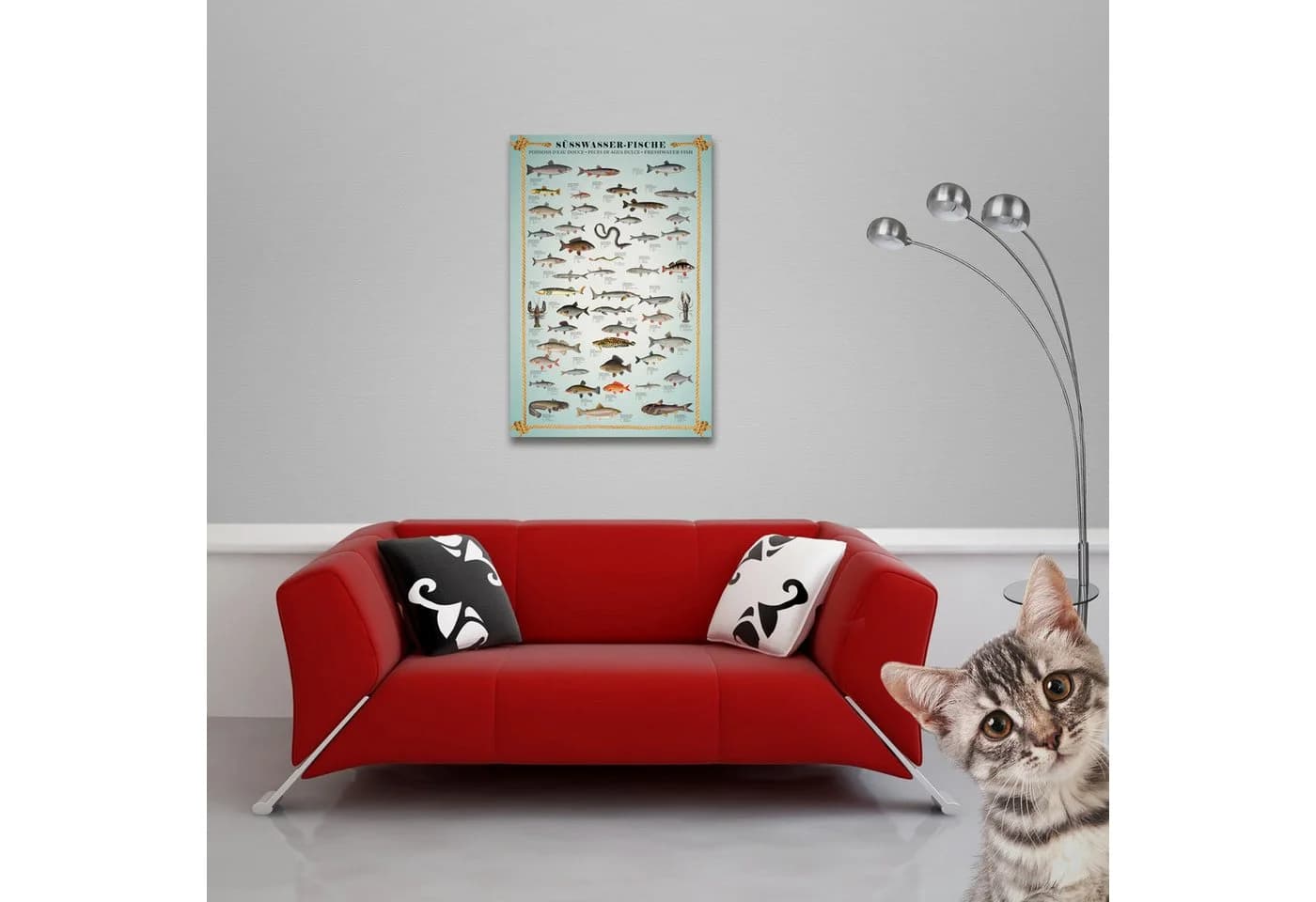 OTTO DE Süßwasserfische-Poster 61x91,5 cm