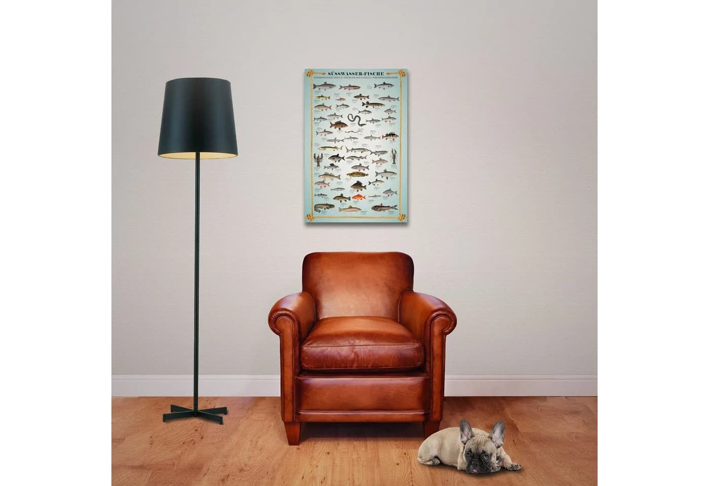 OTTO DE Süßwasserfische-Poster 61x91,5 cm - Bild 3