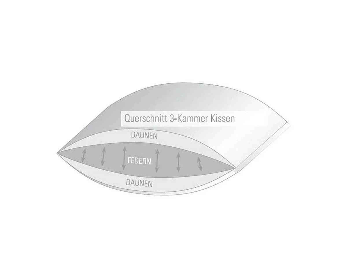 BETTWARENSHOP 3-Kammer-Kopfkissen Premium Daunenfüllung