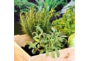 Haushalt International Hochbeet Holz Pflanzkasten Frühbeet Blumenkasten Gemüsebeet Pflanzbeet 62905 Bild 3