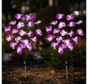 Haushalt International LED Solarleuchte Orchidee Blume Gartenlicht Bild 2