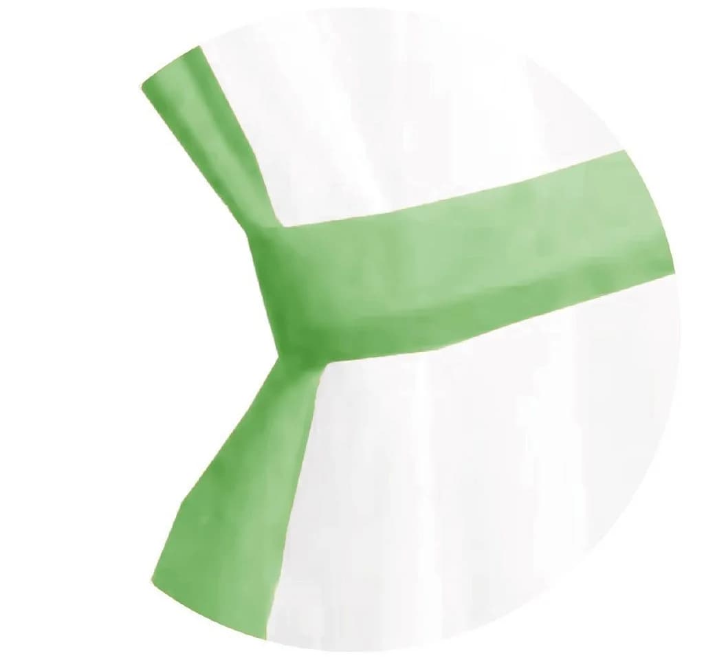 Arsvita Gardinenset Schlaufenschal Grün Transparent mit Raffhalter - Bild 3