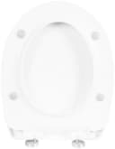 CORNAT WC-Sitz Seestern bunt D-Form SoftClose Quick Release Bild 4