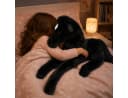 Sweety-Toys Kuscheltier Pferd Schwarz 90 cm Plüschpferd Bild 2